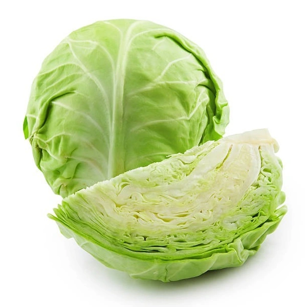 Cabbage - Green