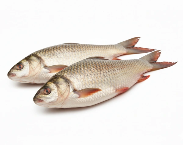 Rohu Fish (Rohu Meen / Rui Meen)