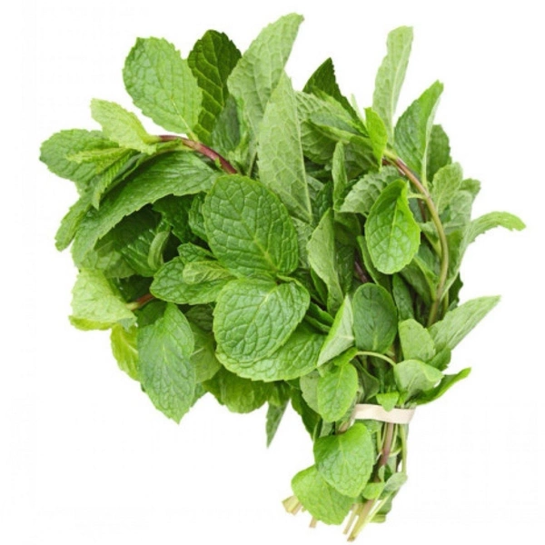 Mint Leaves (Pudina)