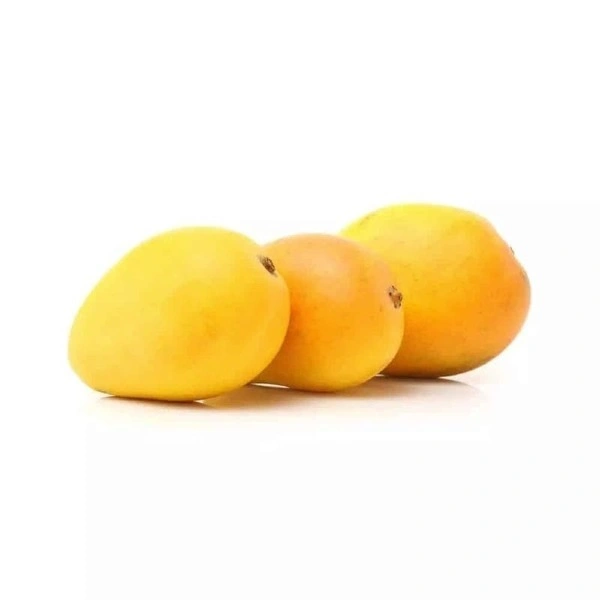 Mango Alphonso (Ratnagiri), Pack of 4