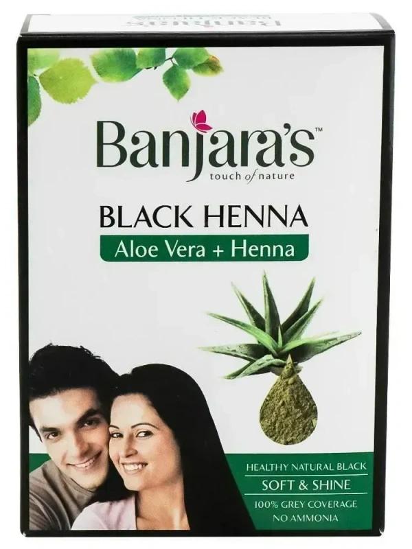 Banjara's Black Henna Aloe Vera + Henna, 50g