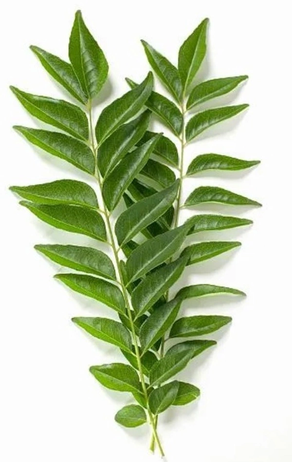 Curry Leaves - 1 Pack (50g)