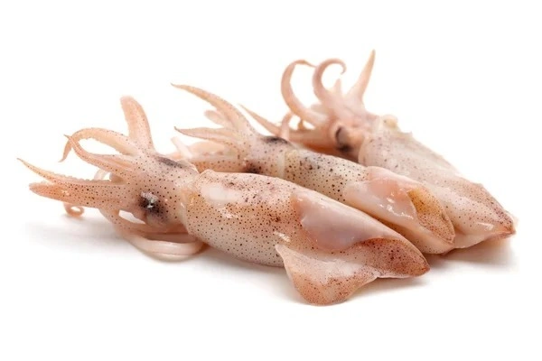 Fish - Squid (Kanava / Koonthal)