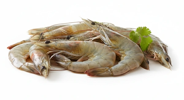 White Prawns (Konju / Chemmeen)