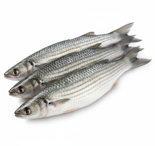 Hilsa Fish (Ilish / Puliyamoodu Meen / Hilsa Meen)