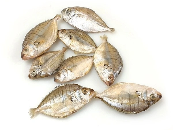 Fish - Mullan Fish (Gold Spot Mullet / Mullan Meen)