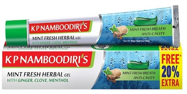 K.P. Namboodiri's Herbal Gel Toothpaste, 40g