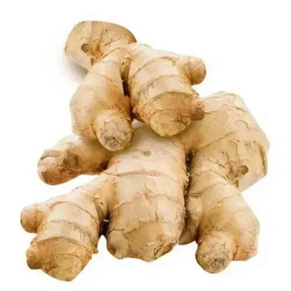 Adrak (Ginger)