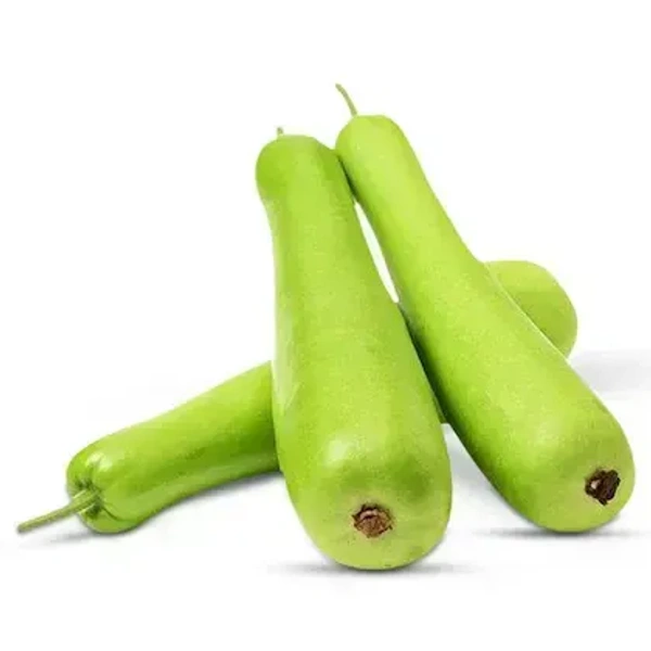 Lauki (Bottle Gourd)