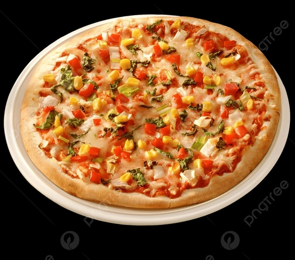 Plain Cheese Pizza 