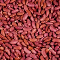 Rajma 500g