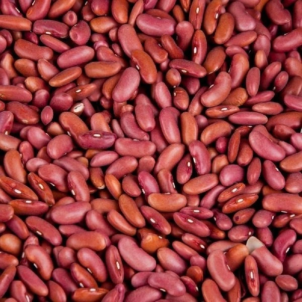 Rajma 500g
