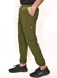 Men's Jogger  - 34, Japanese Laurel