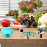 Plastic Vegetable Chopper Manual Vegetables and Dry Fruits Hand Cutter with 3 Stainless Steel Sharp Blade (Blue) - Azure Radiance