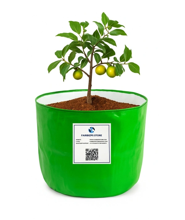FAIRBIZPS 12x12 Grow Bags for Terrace, Balcony & Outdoor Gardening – 260 GSM HDPE Plant Pots for Vegetables, Herbs, Flowers, Fruits, Indoor and Outdoor Plants - Green