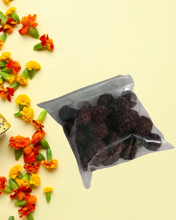 Rudraksha Beads - 25 Nos 