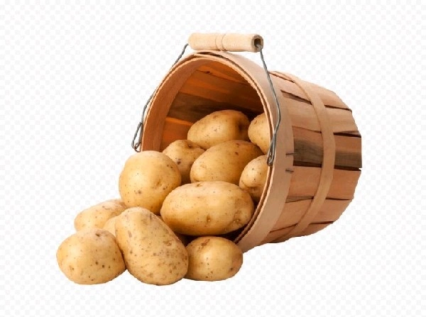 Potato GM