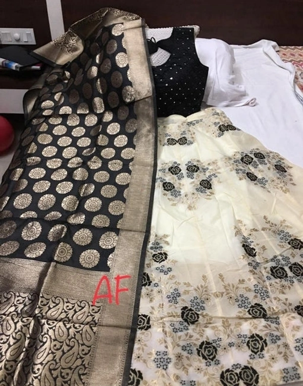 Banarasi Lehnga - Free Size