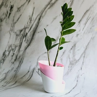 Self watering planters - Light Pink, 1