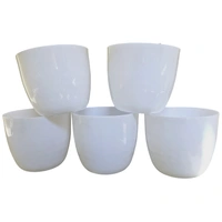 White Pots - 4 Inch, White, 1