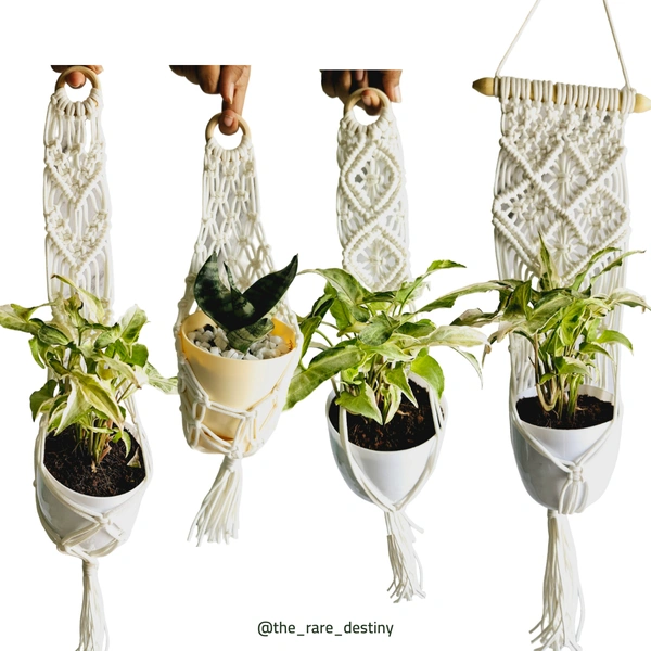 Macreme Plant Hangers Pack Of 4 - White