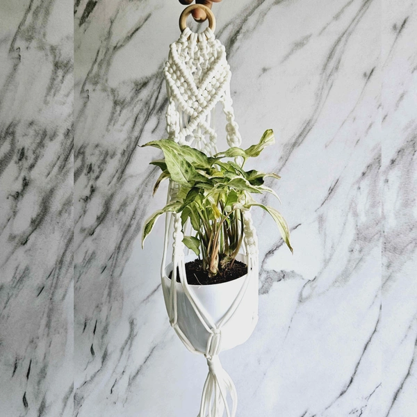 Macreme Plant Hangers Pack Of 4 - White