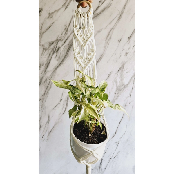 Macreme Plant Hangers Pack Of 4 - White