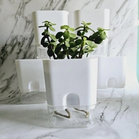 Self Watering Planter - White, 1