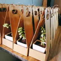 Carton Carry Boxes - 4 Inch, Brown, 100