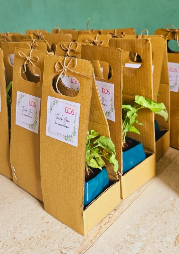 Carton Carry Boxes - 4 Inch, Brown, 50