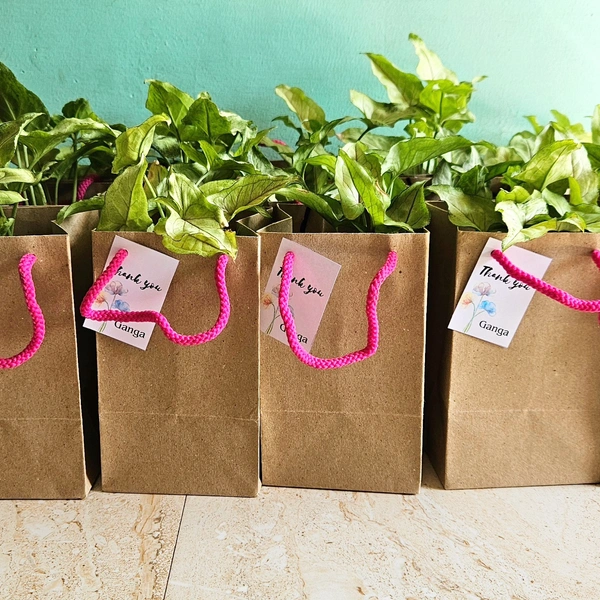 Paper Bags - 4 Inch, Brown, 50