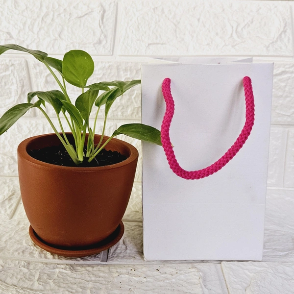 Paper Bags - White, 100, 4 Inch
