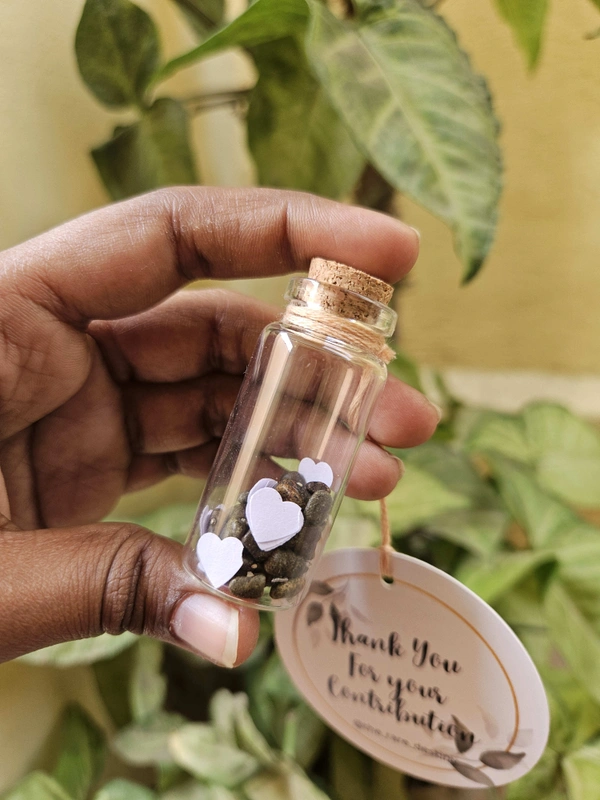Seed Vials - 50, Amaranthus