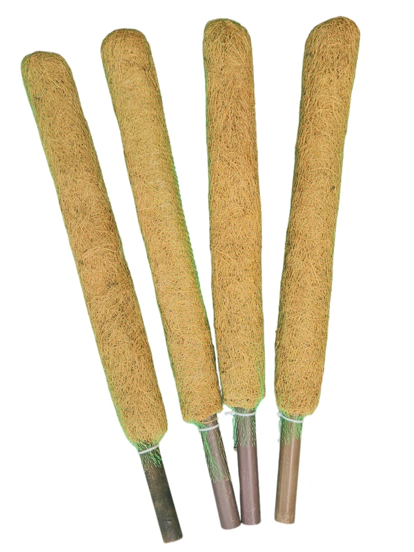Coir Pole 2 Feet - Pack Of 2