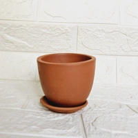 Terracotta Pot With Plate - 4 Inch, Pot With Big Jade