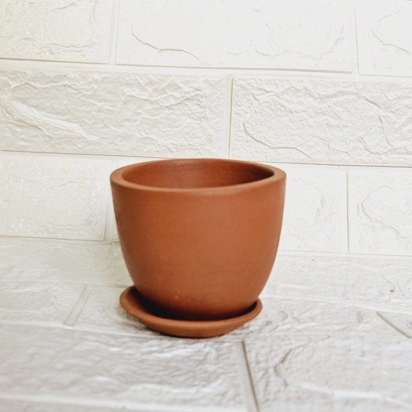 Terracotta Pot With Plate - 4 Inch, Pot With Big Jade
