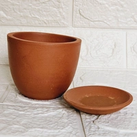 Terracotta Pot With Plate - 4 Inch, Pot With Big Jade