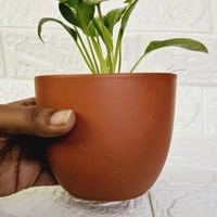 Terracotta Pot With Plate - 4 Inch, Pot With Big Jade