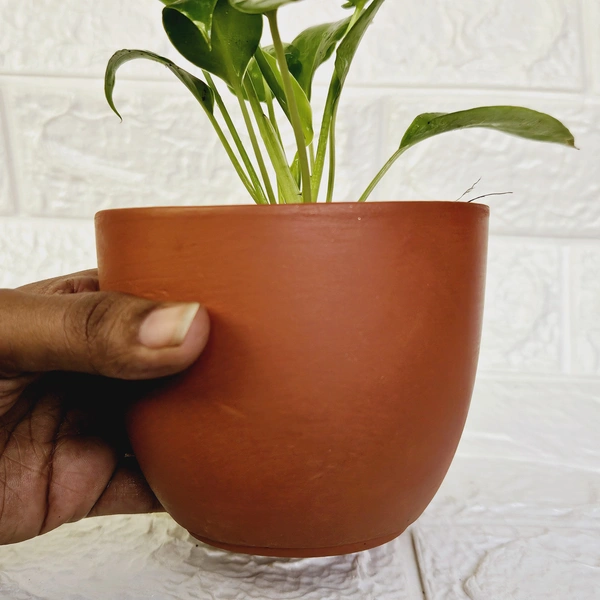 Terracotta Pot With Plate - 4 Inch, Pot With Big Jade