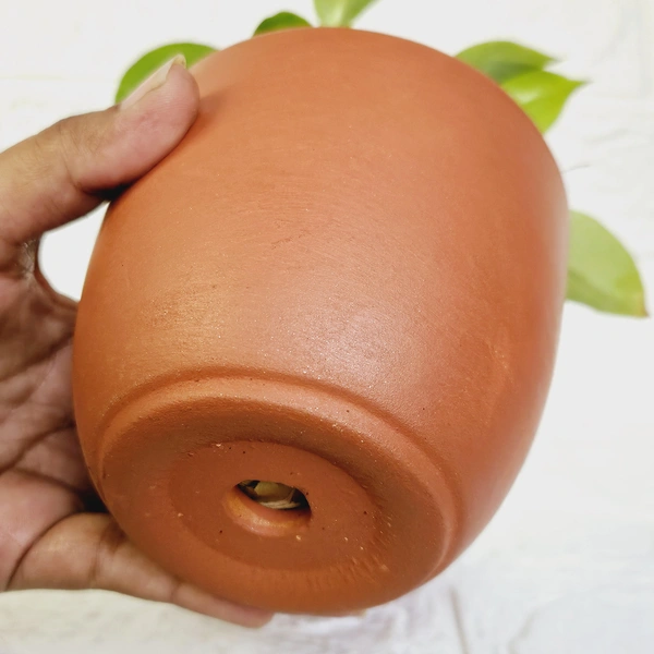 Terracotta Pot With Plate - 4 Inch, Pot With Big Jade