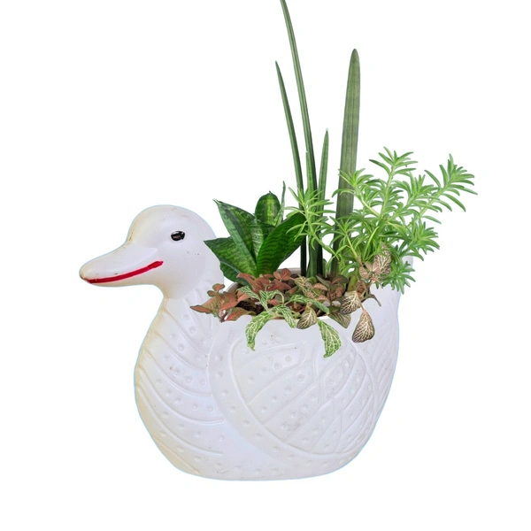 Duck Pot