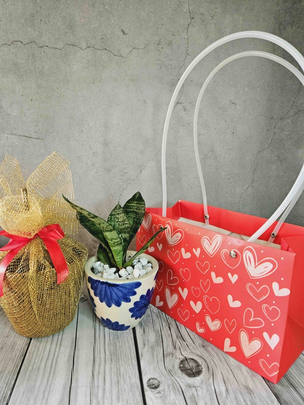Red Heart Paper Bags - 5