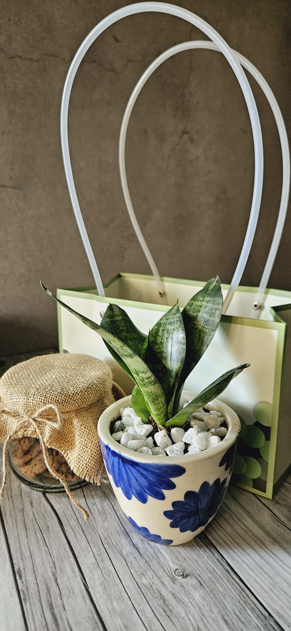 Green Bubble Paper Bag  - 1
