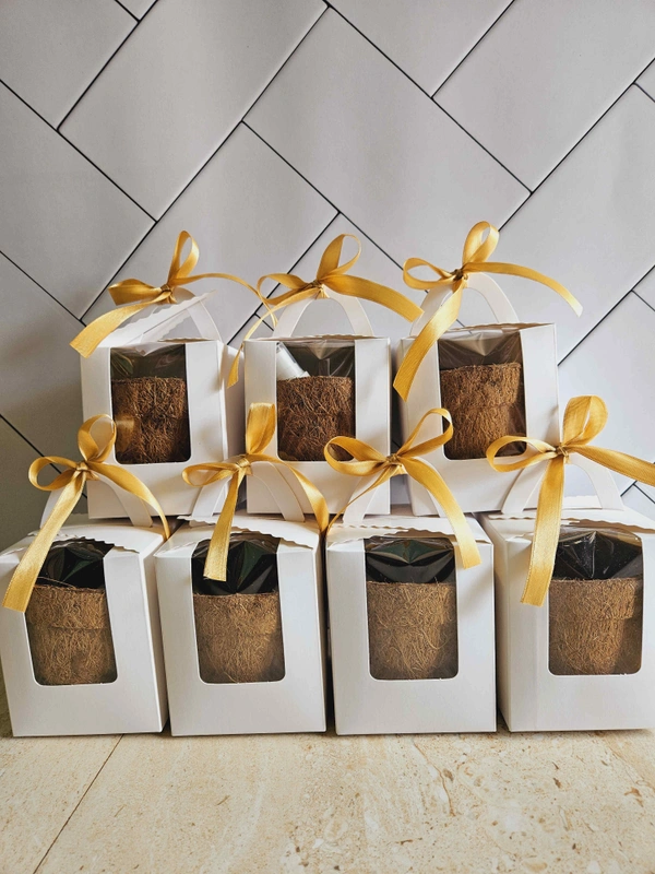 Cupcake Boxes - 20