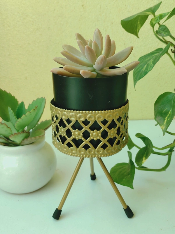 Metallic Planter