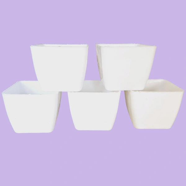 Small White Succulent Pots Pack Of 5