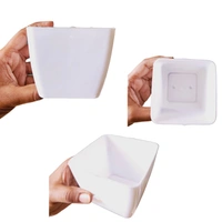 Small White Succulent Pots Pack Of 5