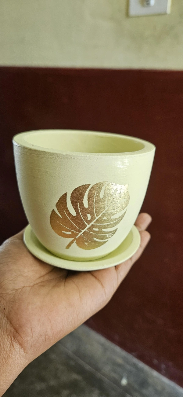 Terracotta Pot With Plate - Pot With Big Jade