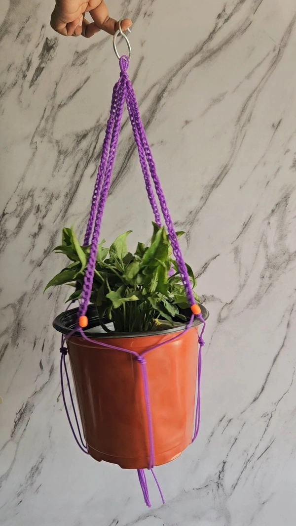 Hanging Ropes Multicolor  - 10