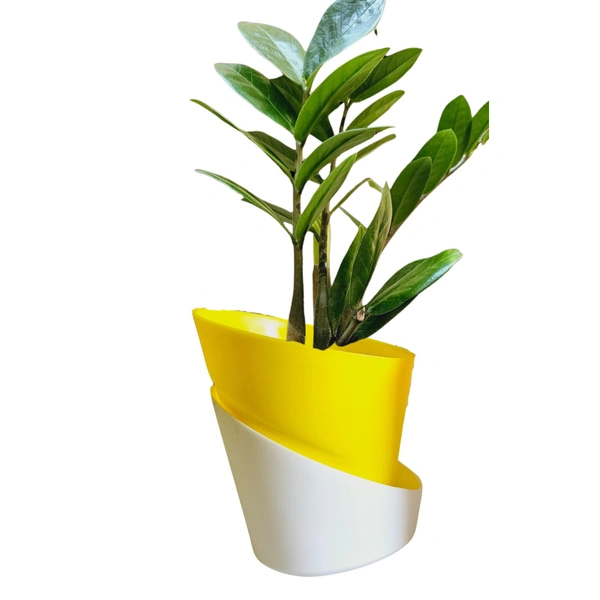 Self Watering Pot With Green ZZ Plant - Blue